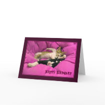 Happy Birthday Card