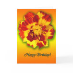 Happy Birthday! Greeting Cards