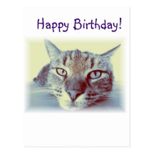 Happy Birthday Card Cat Greeting Postcard Wishes