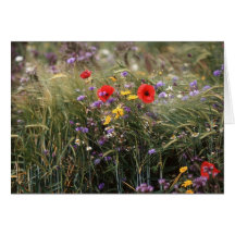 Happy Birthday card flowers