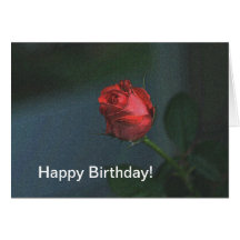 Happy Birthday Cards