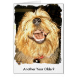 Happy Birthday Cards