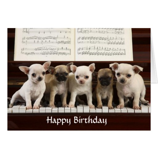 happy_birthday_chihuahua_puppy_greeting_card-r72c4a026d97d416da8387b465b6c769c_xvuak_8byvr_512.jpg