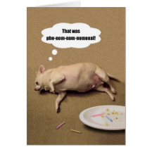 Happy Birthday Chubby Chihuahua Greeting Card