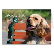 Happy Birthday Cocker Spaniel Greeting Card