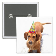 Happy Birthday Dachshund Button
