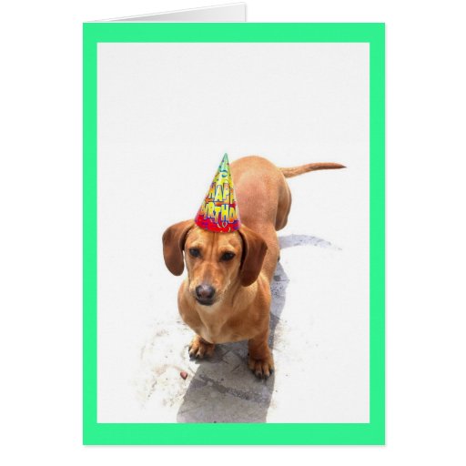 Happy Birthday Dachshund Greeting Card Zazzle