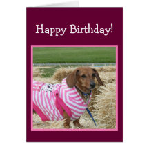 Happy Birthday Dachshund greeting card