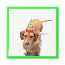 Happy Birthday Dachshund Magnet