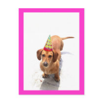 Happy Birthday Dachshund Postcard
