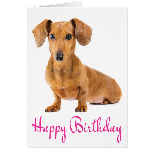 Happy Birthday Dachshund Puppy Dog Card Zazzle