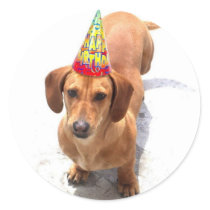 Happy Birthday Dachshund stickers