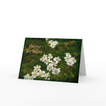 Happy Birthday Daisyweed cards