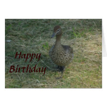 Happy Birthday Duck Cards