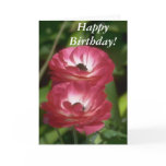 Happy Birthday! Flora Cards