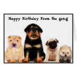 Happy birthday form the gang Puppies greeting card