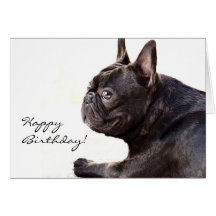 Happy Birthday French Bulldog card