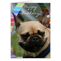 Happy Birthday French Bulldog greeting card