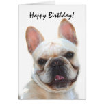 Happy Birthday French Bulldog greeting card