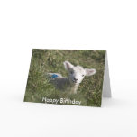 Happy birthday from me to ewe card