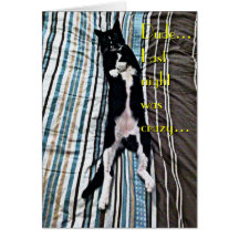 Happy Birthday from Playful Cat Cards