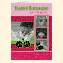 Happy Birthday From the Cat Birthday Card cards