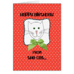 Happy Birthday from the Cat Greeting Cards