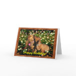 Happy Birthday from the Dachshunds! Cards