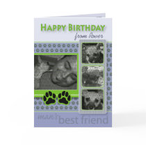 Happy Birthday From the Dog Birthday Card