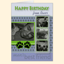 Happy Birthday From the Dog Birthday Card cards