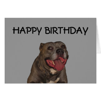 Happy Birthday Pitbull Cards, Photocards, Invitations &amp; More