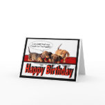 Happy Birthday from the puppies Cards