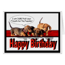 Happy Birthday from the puppies Cards