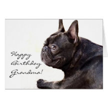 Happy Birthday Grandma French Bulldog card