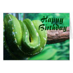 Happy Birthday Green Tree Python Card