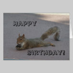 Happy Birthday cards