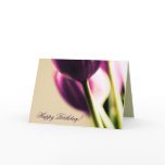 Happy Birthday Greeting Card Template, Beautiful T
