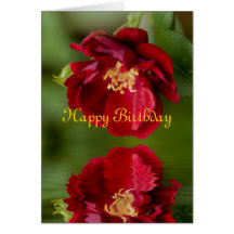 Happy Birthday Greeting Cards