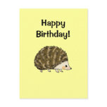 Happy birthday! (hedgehog)