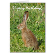 Happy Birthday Jack Rabbit Greeting Card