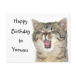 Happy Birthday kitten postcards