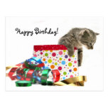 Happy Birthday kitten Postcards