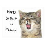 Happy Birthday kitten Postcards