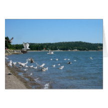 Happy Birthday-Parrsboro Cards