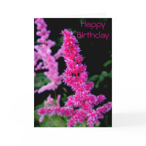 Happy Birthday - Pink Flowers cards