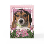 Happy Birthday - Pink Tulips - Beagle Puppy