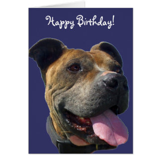 Happy Birthday Pitbull Cards, Photocards, Invitations &amp; More