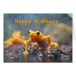Happy Birthday Poison Dart Frog Card