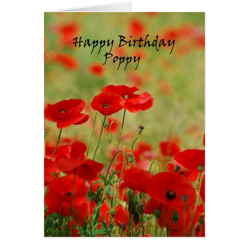 happy_birthday_poppy_greetings_card-rbb787b25c79a4773909228ee15834ff7_xvuat_8byvr_512.jpg