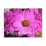 Happy Birthday Postcard